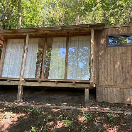 Suxen Nature Experience - Lodge Con Vista Panoramica Prepotto  エクステリア 写真