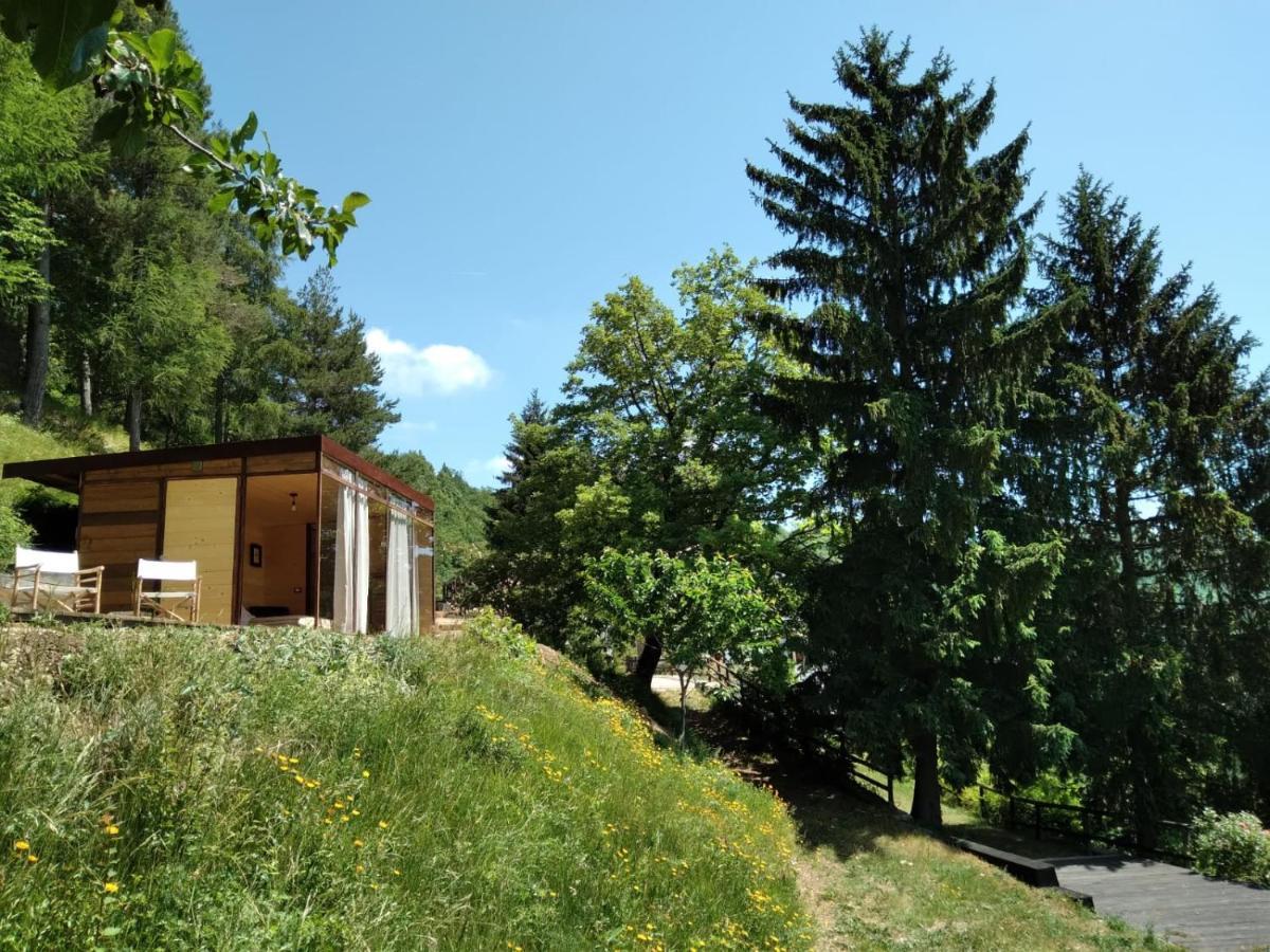 Suxen Nature Experience - Lodge Con Vista Panoramica Prepotto  エクステリア 写真
