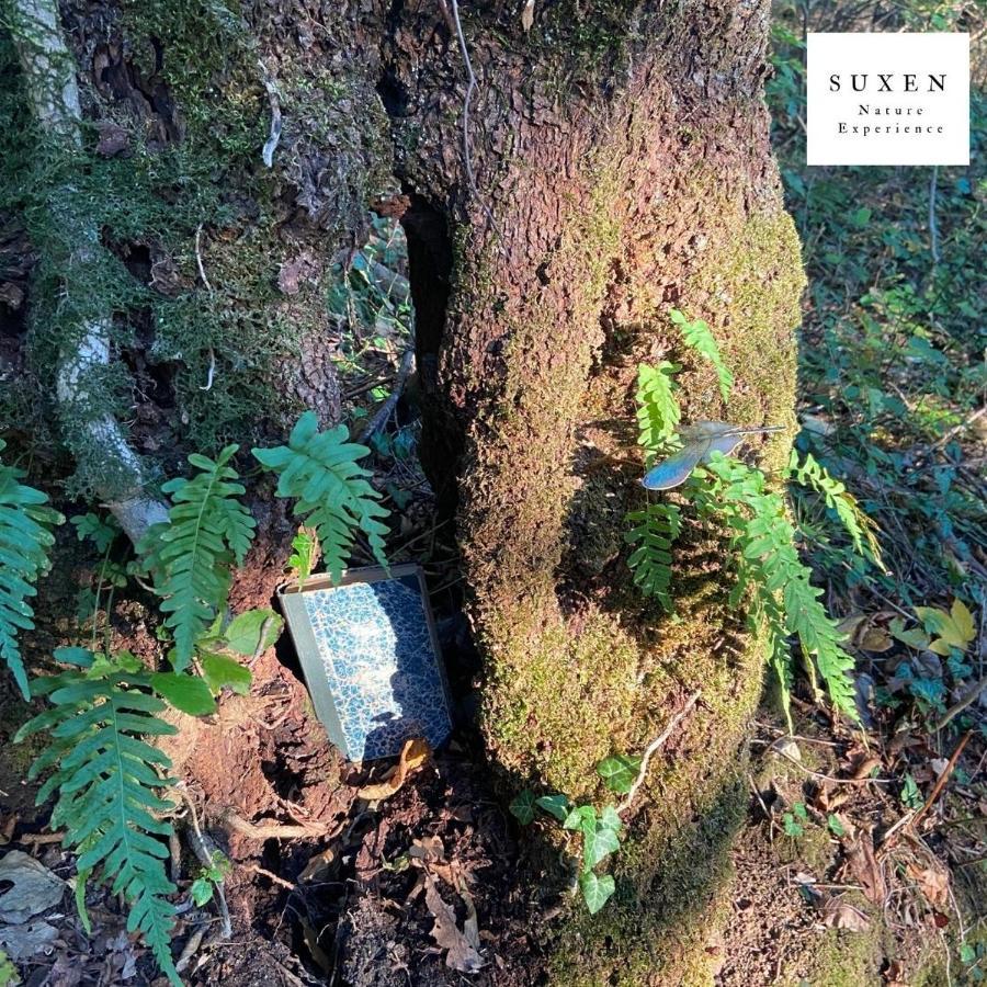 Suxen Nature Experience - Lodge Con Vista Panoramica Prepotto  エクステリア 写真