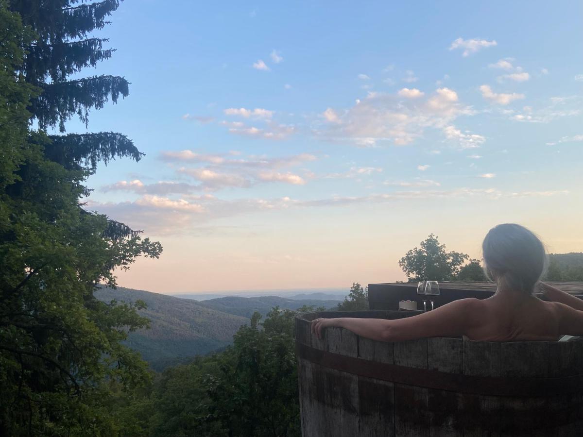 Suxen Nature Experience - Lodge Con Vista Panoramica Prepotto  エクステリア 写真